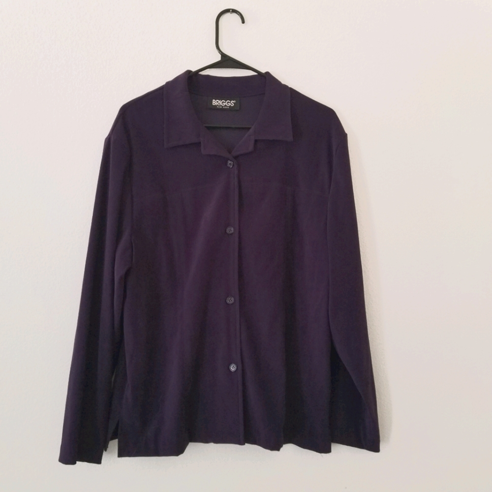 Briggs New York Button Up